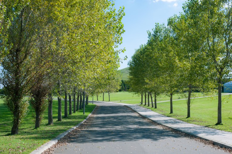 病み上りの週始め