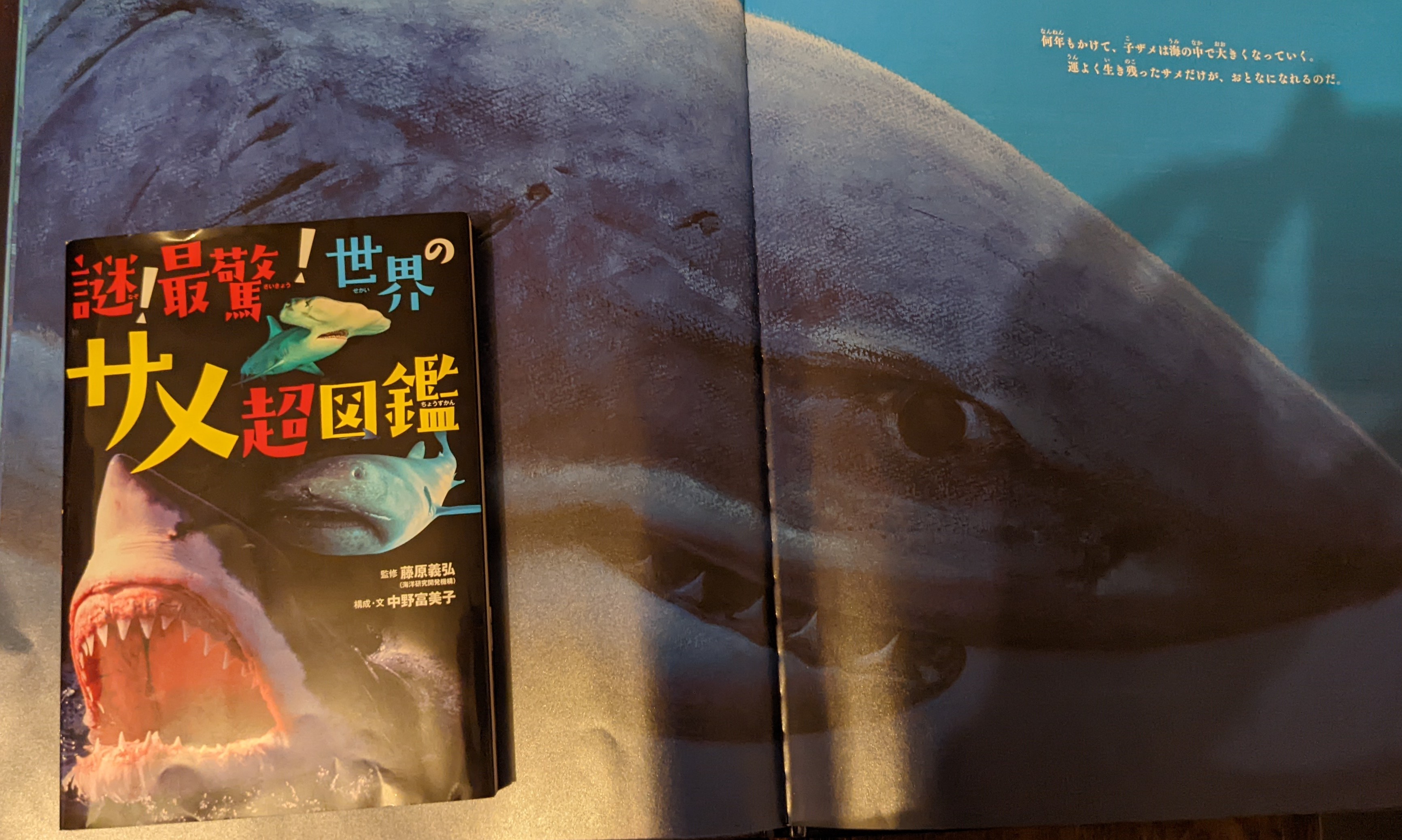 無題の投稿 1116